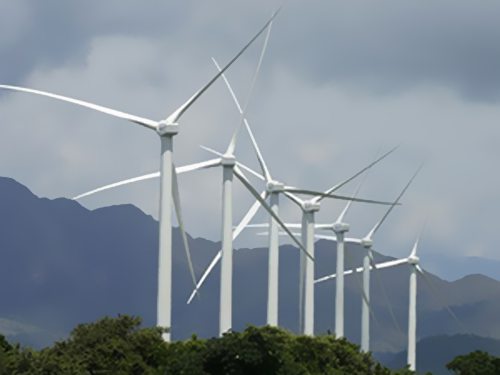 ��ī�����������L(f��ng)��������ИI(y��)����