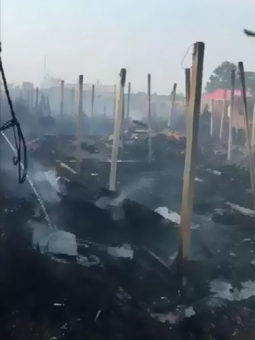 ������Ȼ�@����������ԭ����������